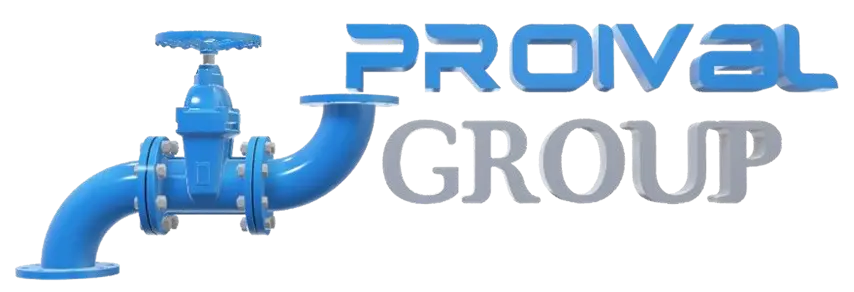Logo de Proival Group