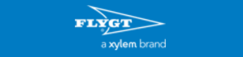 logo flygt